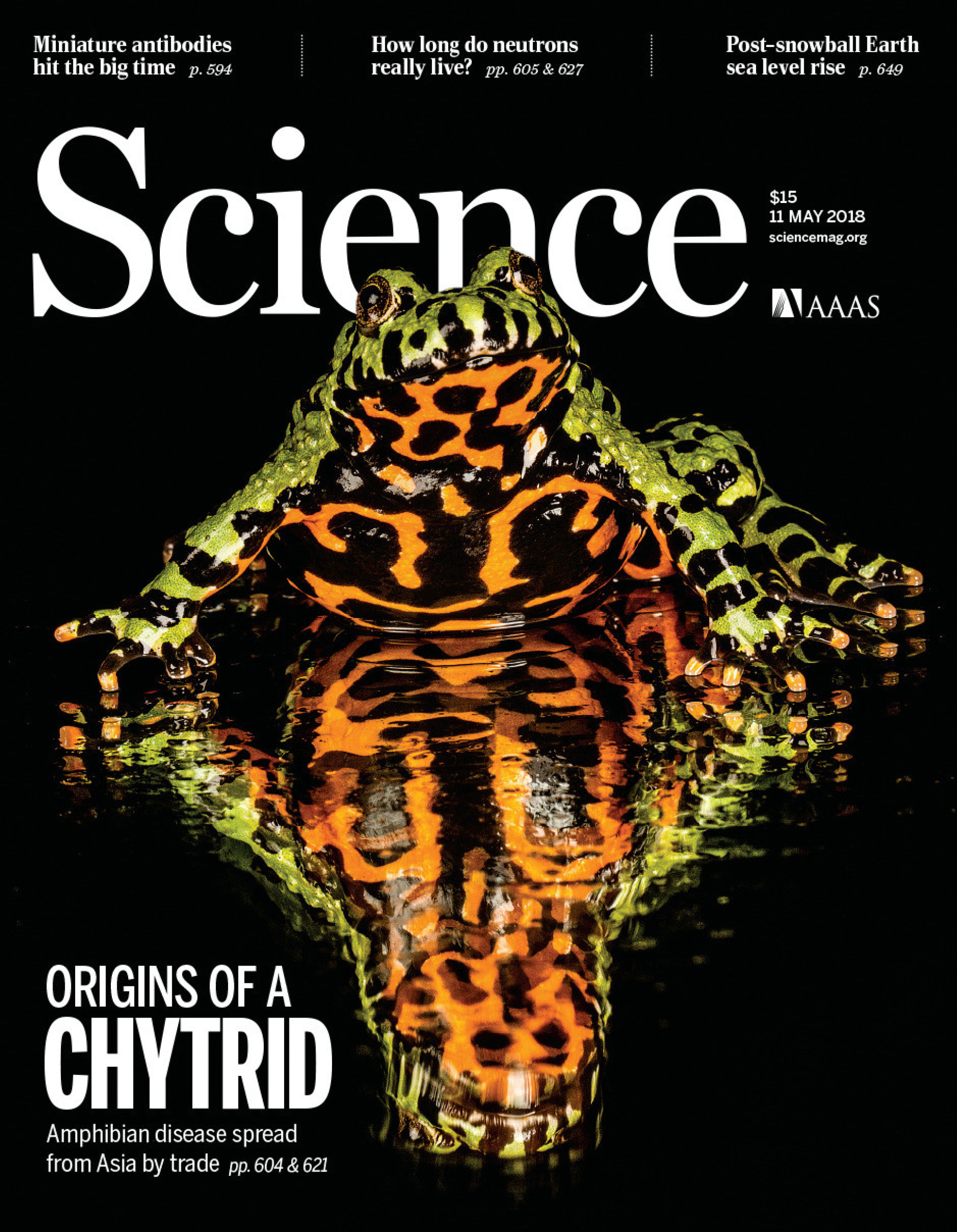 Science cover