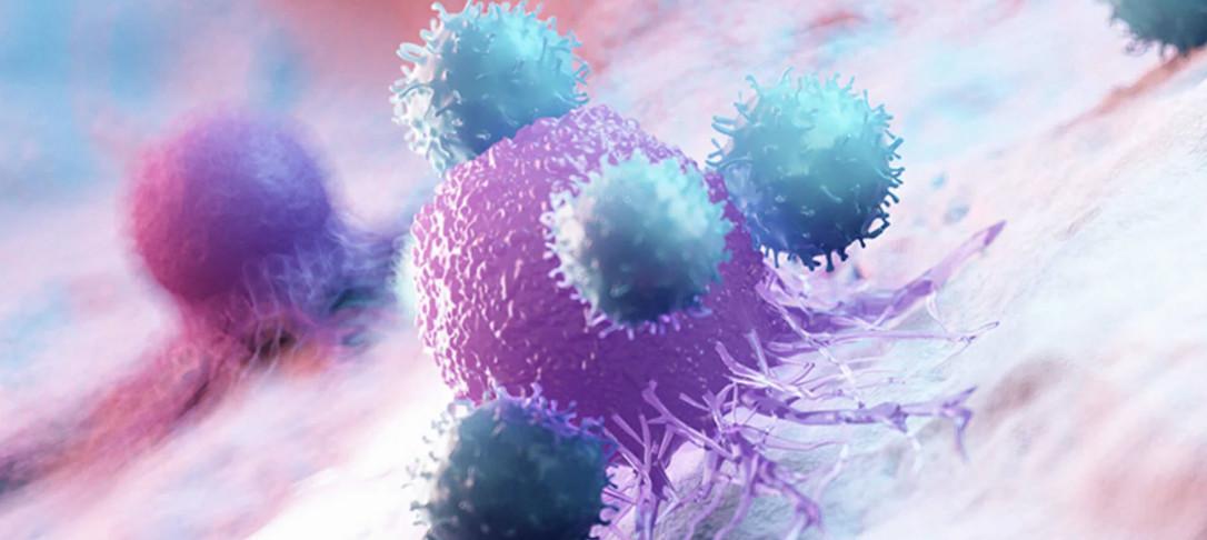 3D illustration of leukocytes attacking a cancer cell
