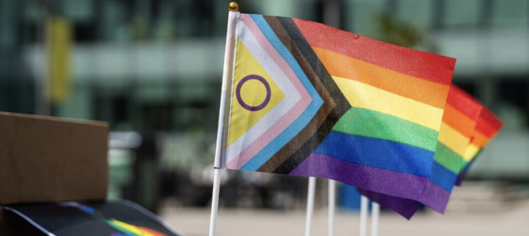Pride Picnic