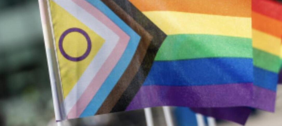 LGBTQ+ flag
