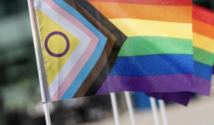 🏳️‍🌈 New date: White City and Hammersmith PRIDE Picnic
