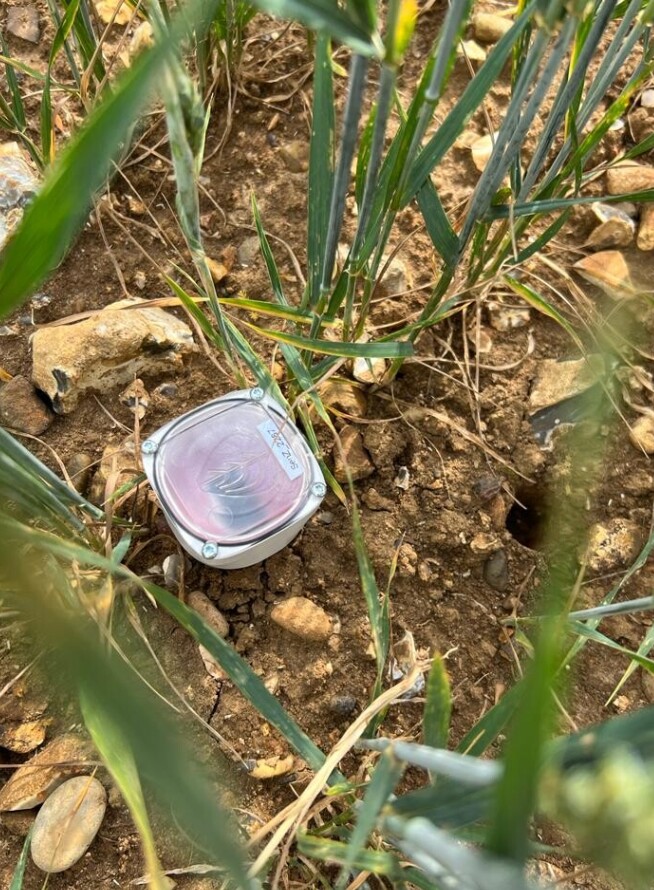 SporSenZ sensor in the ground