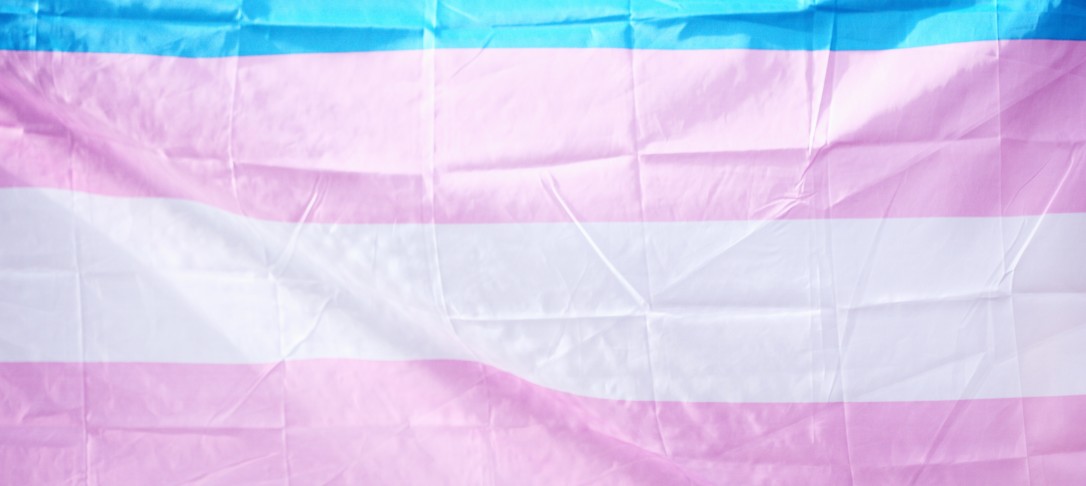 Trans pride flag