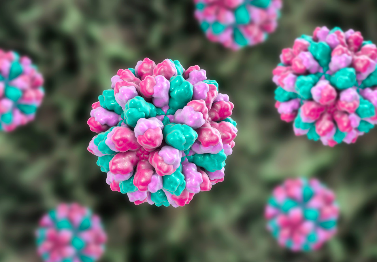 CGI picture of Norovirus.