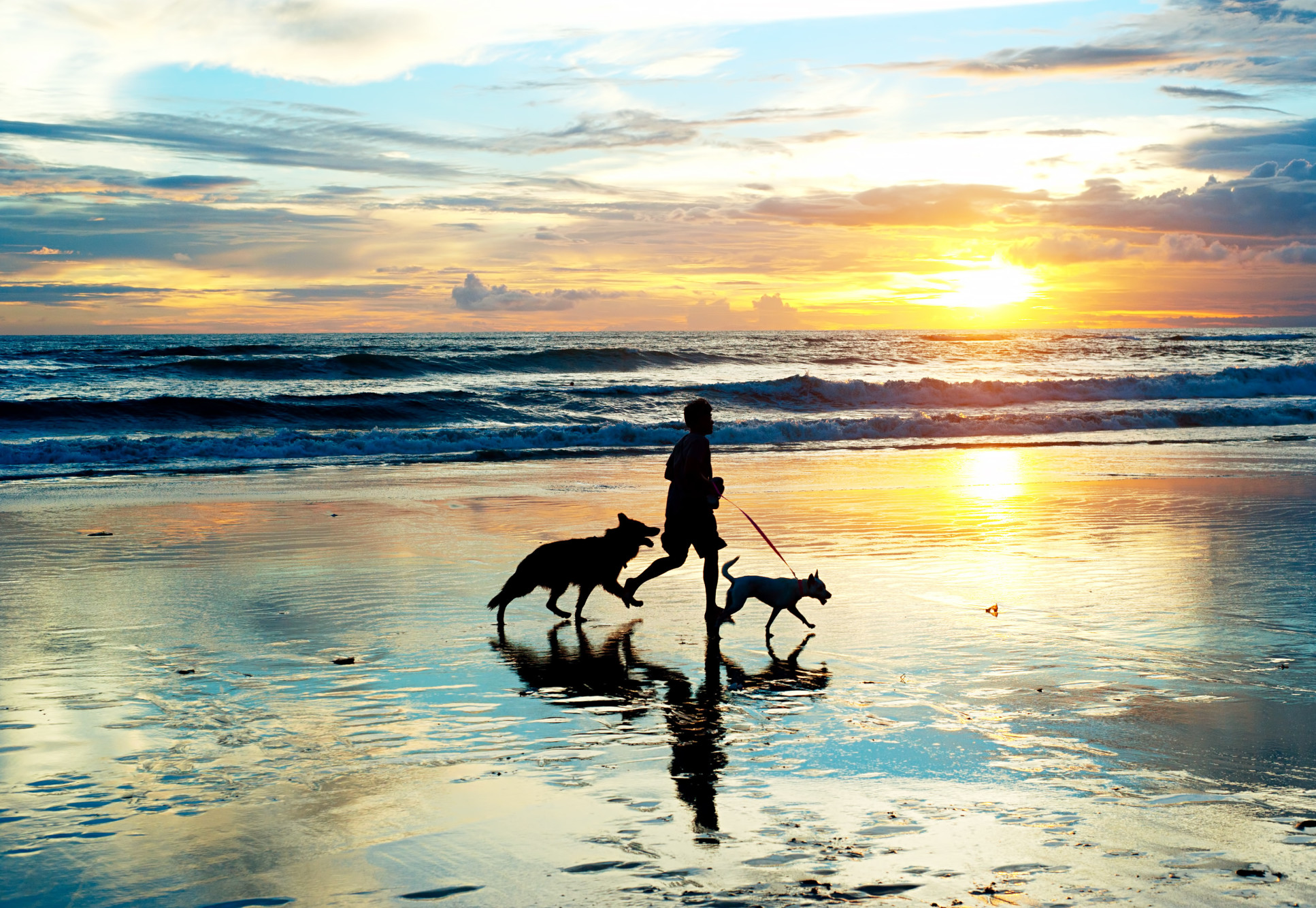 Silhouette of man running on beach with two dogs
