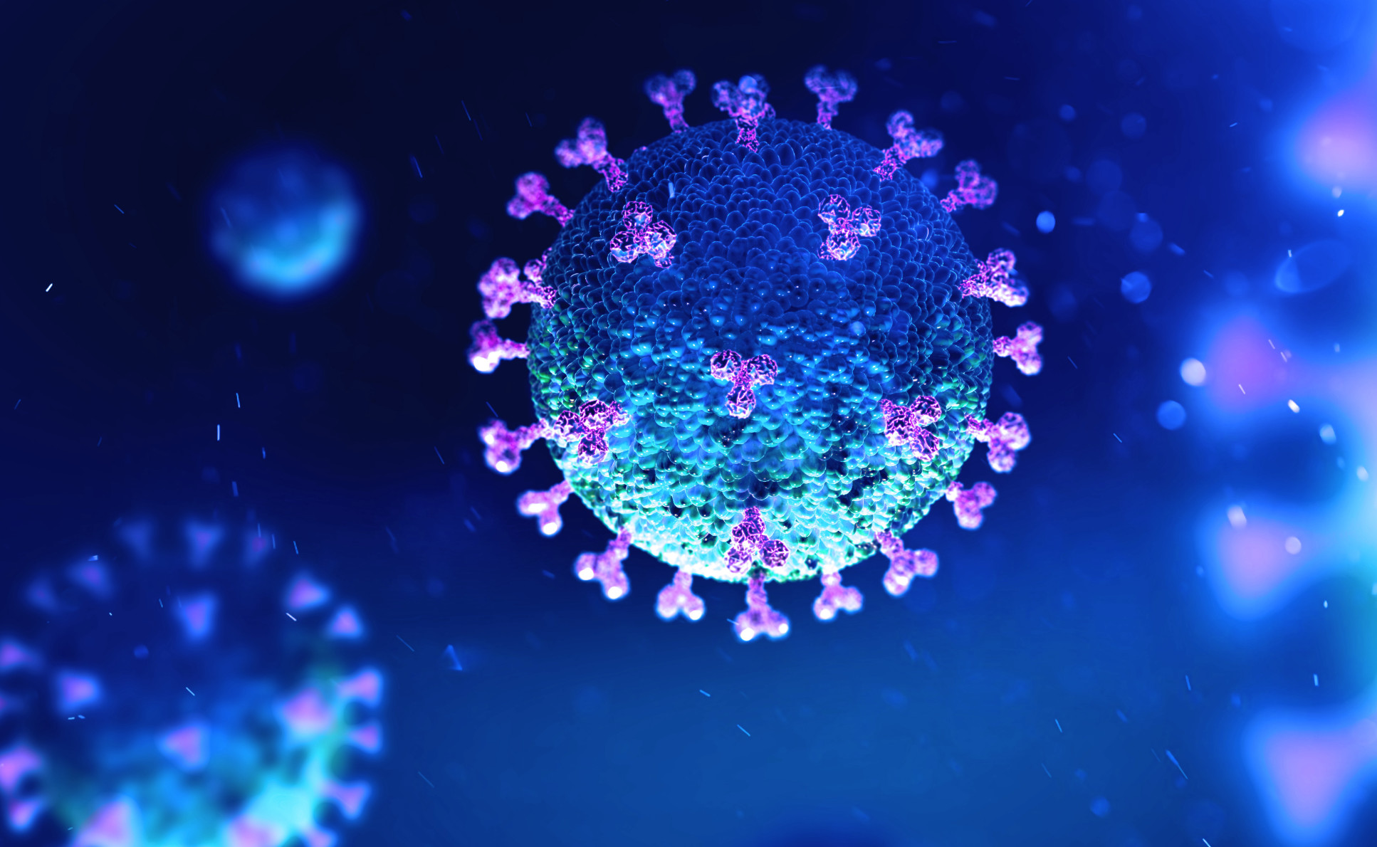 coronavirus