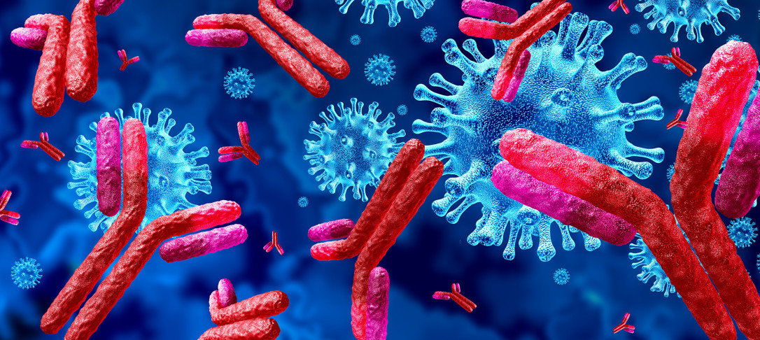 Illustration of antibodies fighting a virus