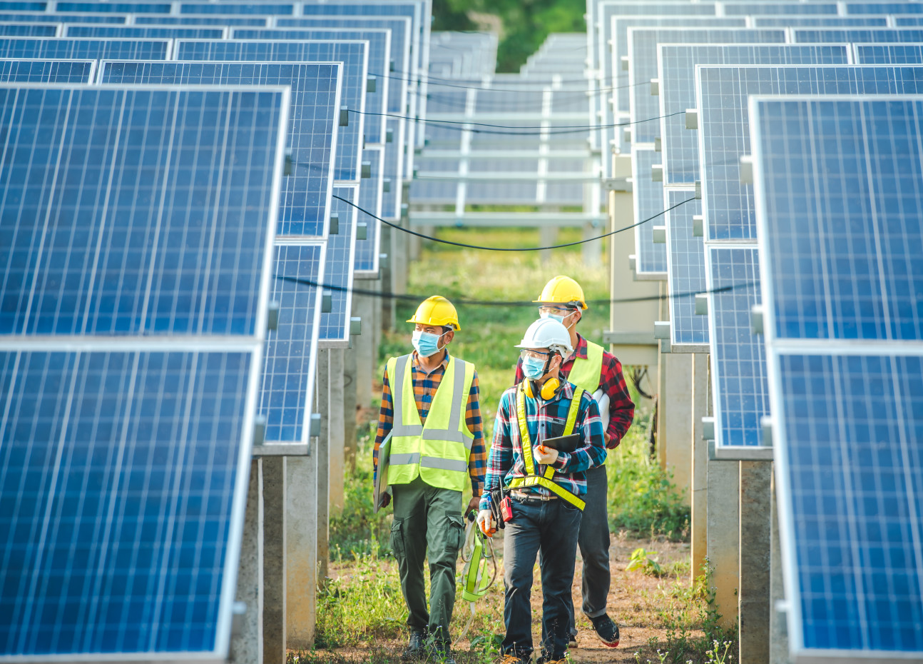 Engineers walking in a field of solar panels
