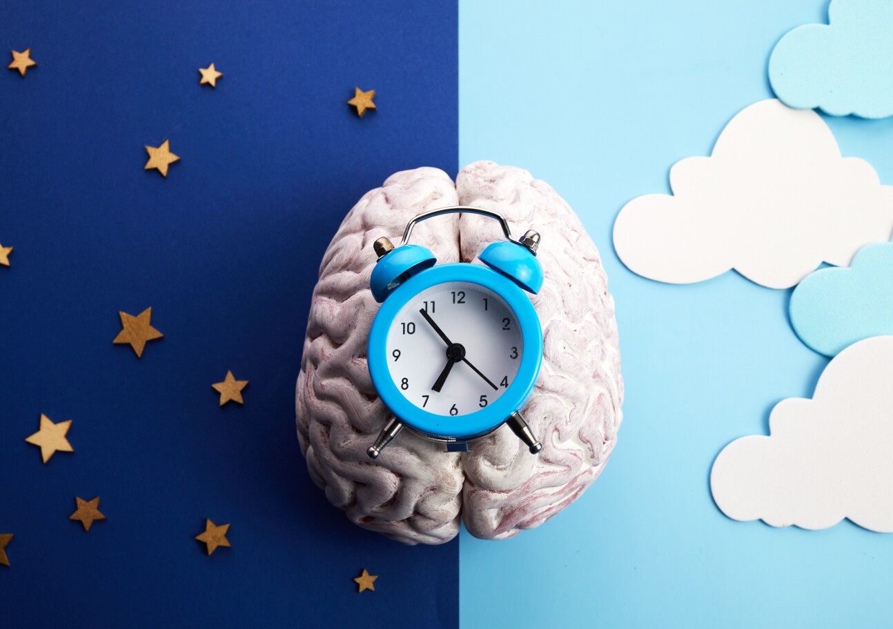 A brain with a clock in the middle and day and night on either side