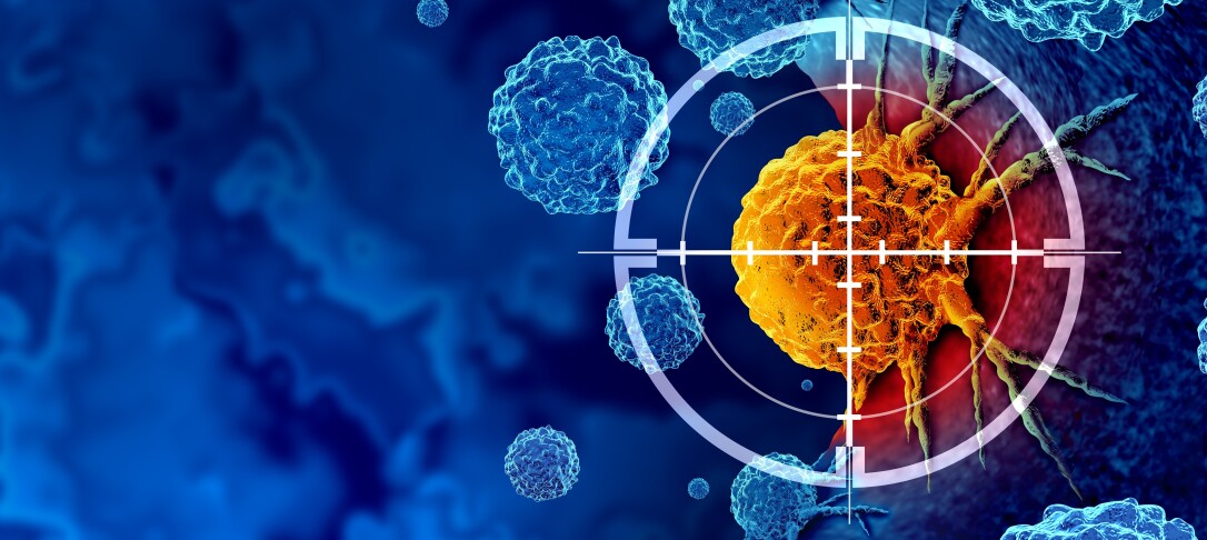 An image of bacteria cells