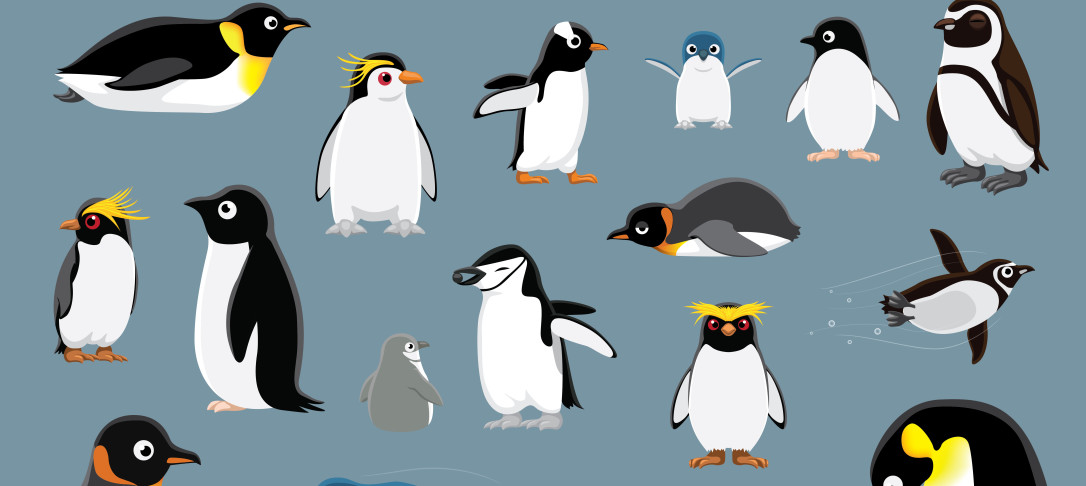 Penguins