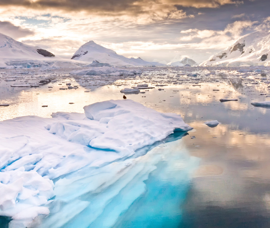 A photograph of ice and ocean in Antarctica