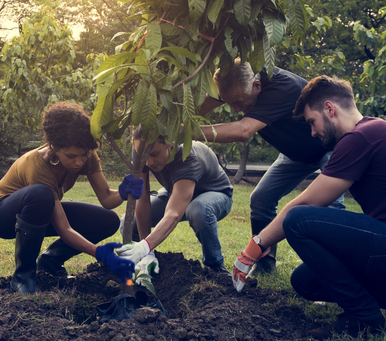 Group of people planting a tree