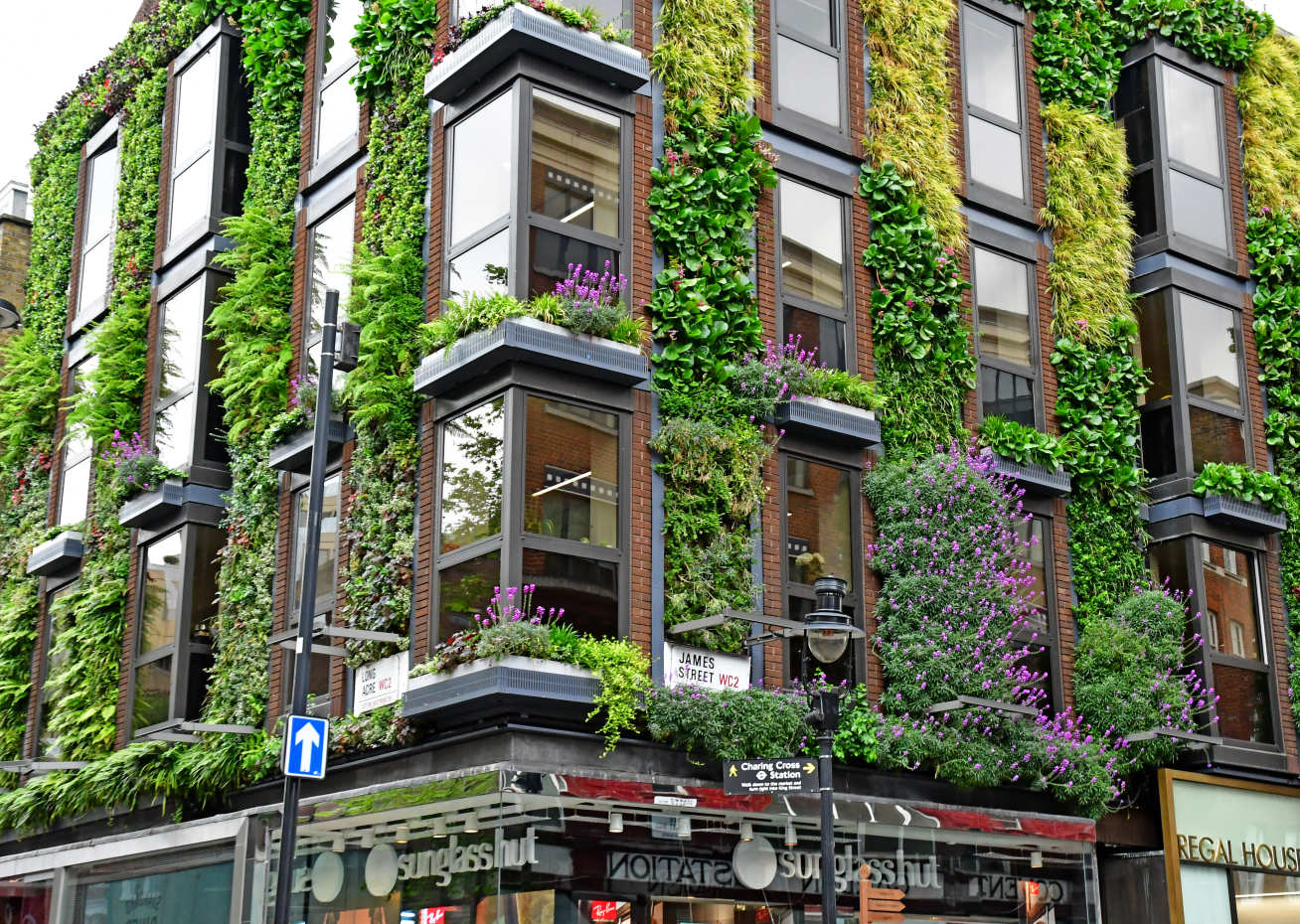 Wall with plants in James street (Pack-Shot / Shutterstock.com)