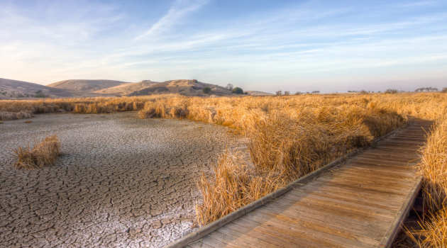 A dried river bed