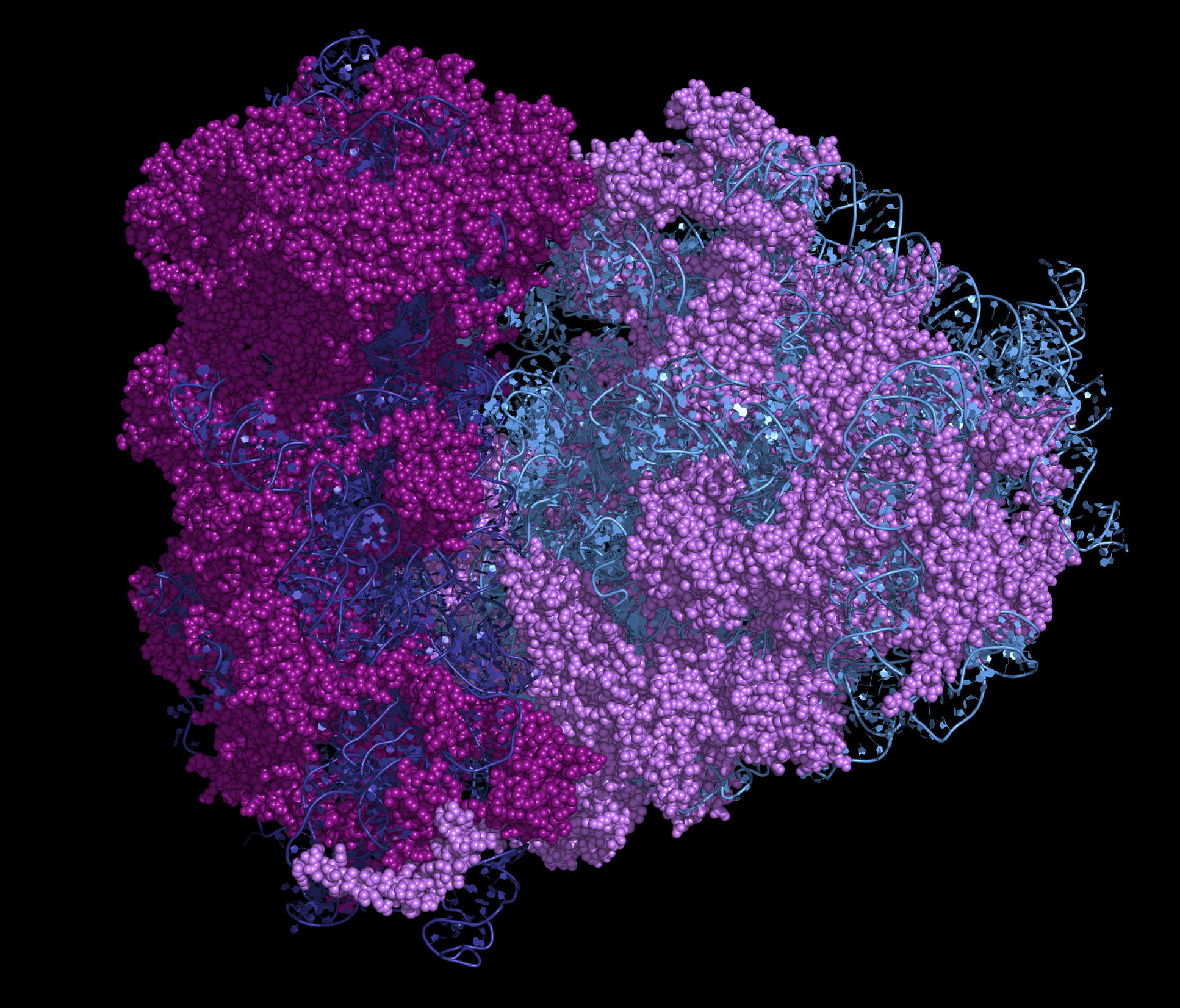 Dr Ouldridge will build a molecular copying system from scratch, a simple version of natures most important machines