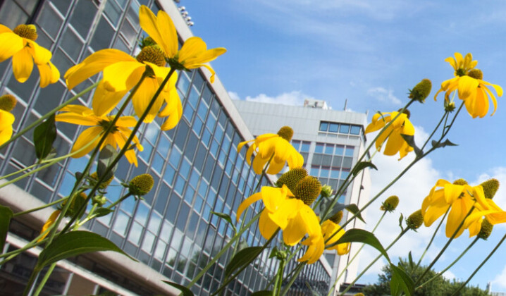 Queen's tower with green impact logo