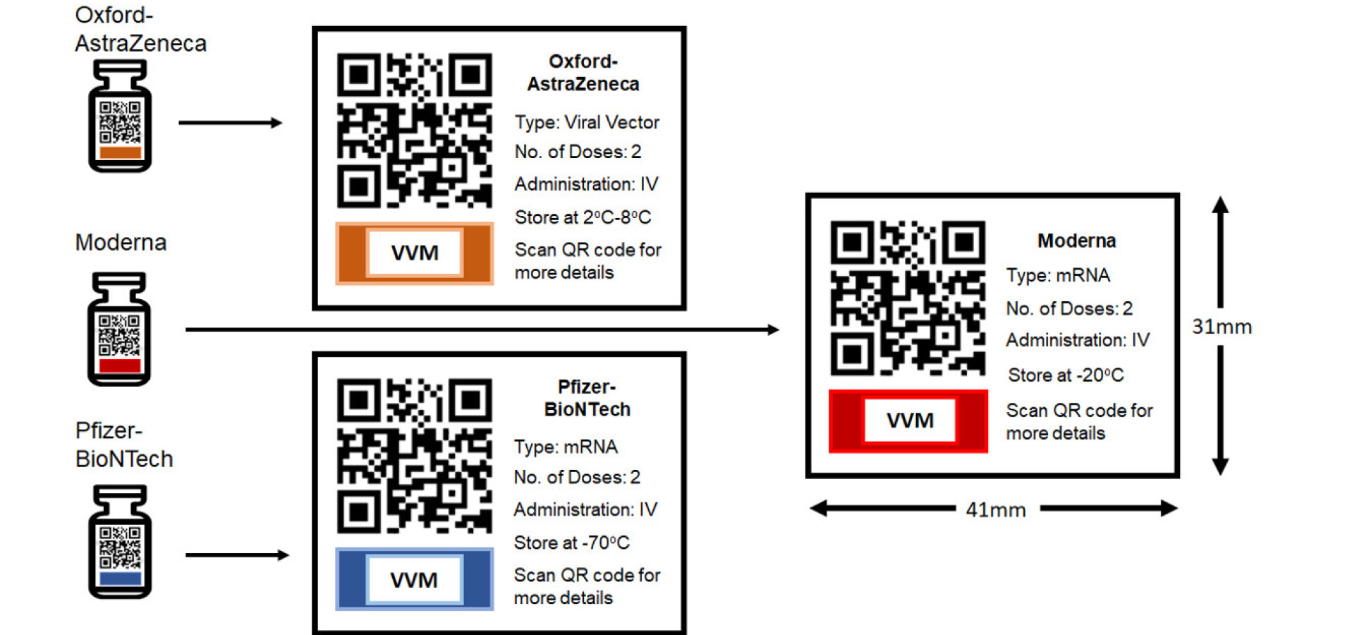 A closer look at the individual vial labels - part one shows the different coloured Vaccine Vial Monitors that indicate if the vial has been stored at the incorrect temperature (orange for Oxford-AstraZeneca; red for Moderna; blue for Pfizer-BioNTech) and part 2, which is the QR code, that can be scanned to access a central database holding key information about that batch of vials