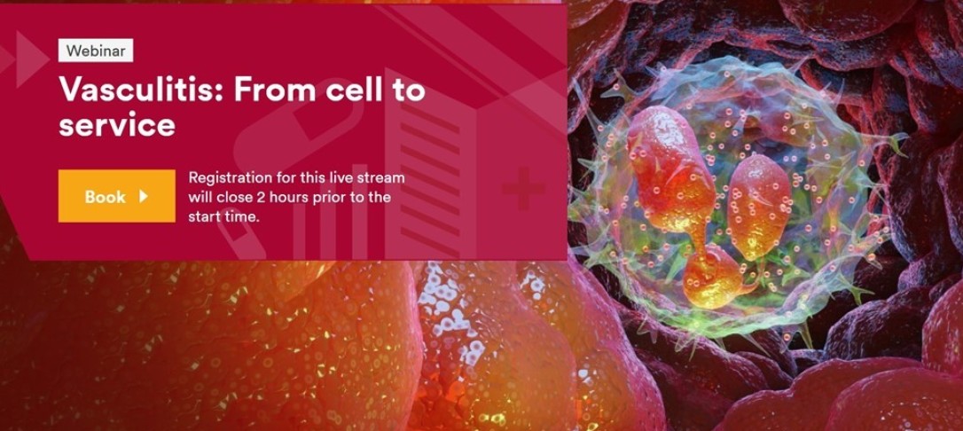 Vasculitis: From cell to service