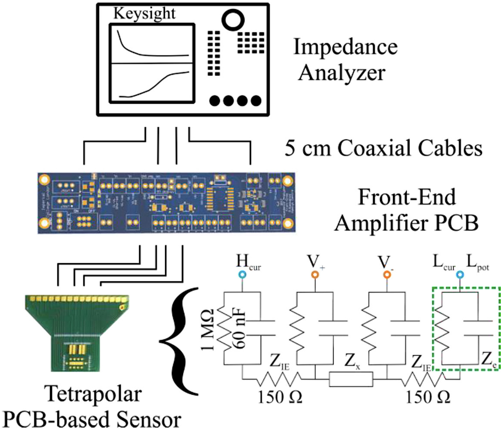 The experimental set-up for tetrapolar impedance measurements