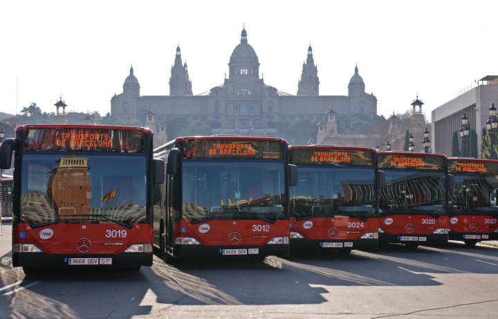 Row of Barcelona TMB buses