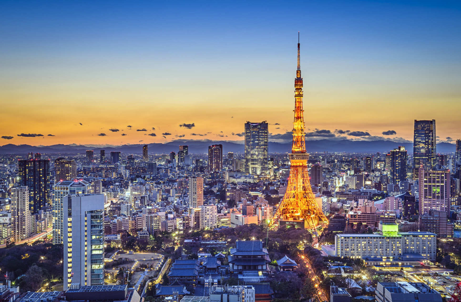 Tokyo skyscape
