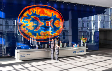 The brain mural in the main entrance