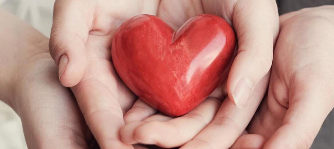 Hands holding heart