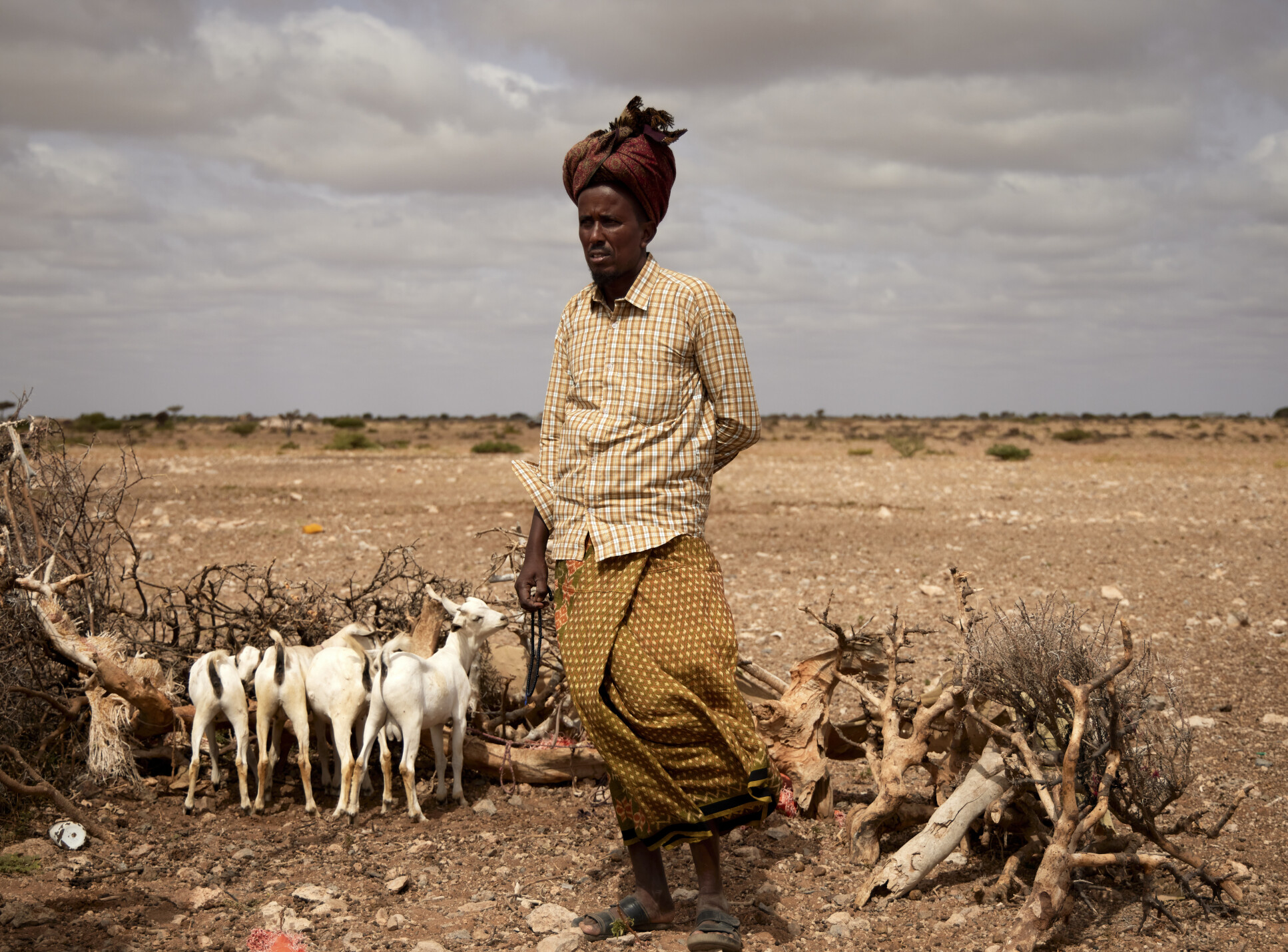 A portrait of a herder standing in the desert in front of four small goats.