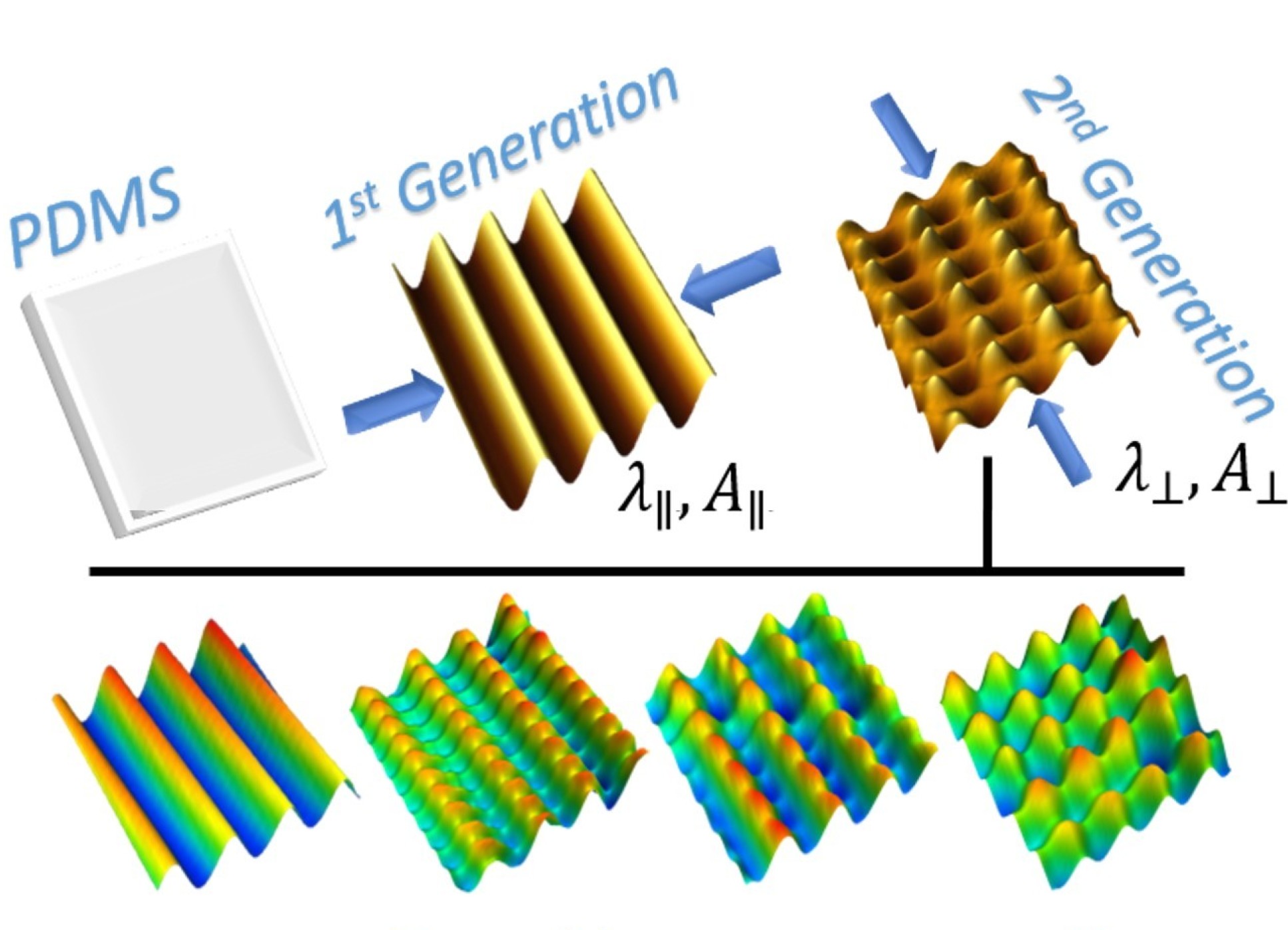 Images showing how waves are created at right-angles to produce spikes