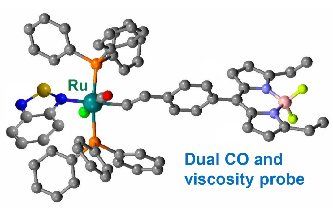 Chemical model of the probe