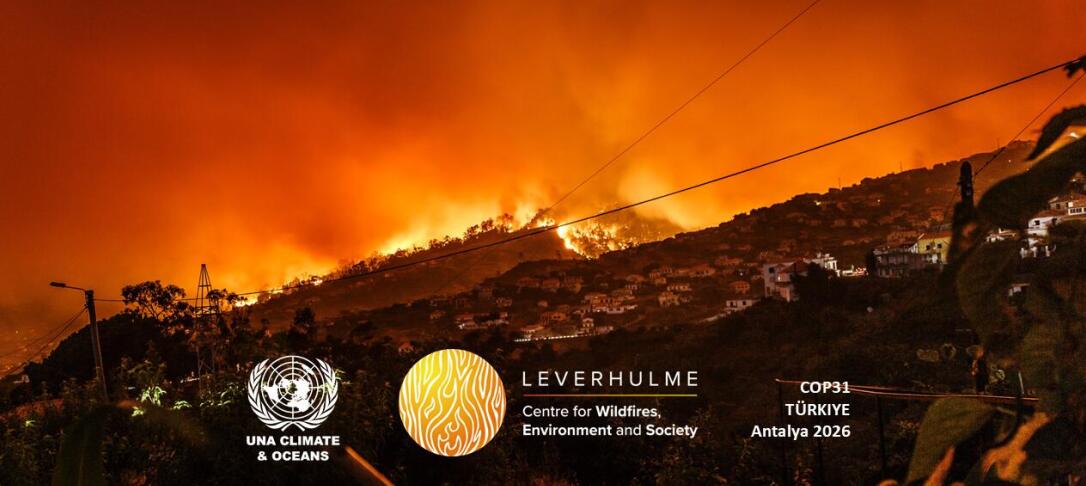 International Climate and Sustainability Youth Summit 2026
