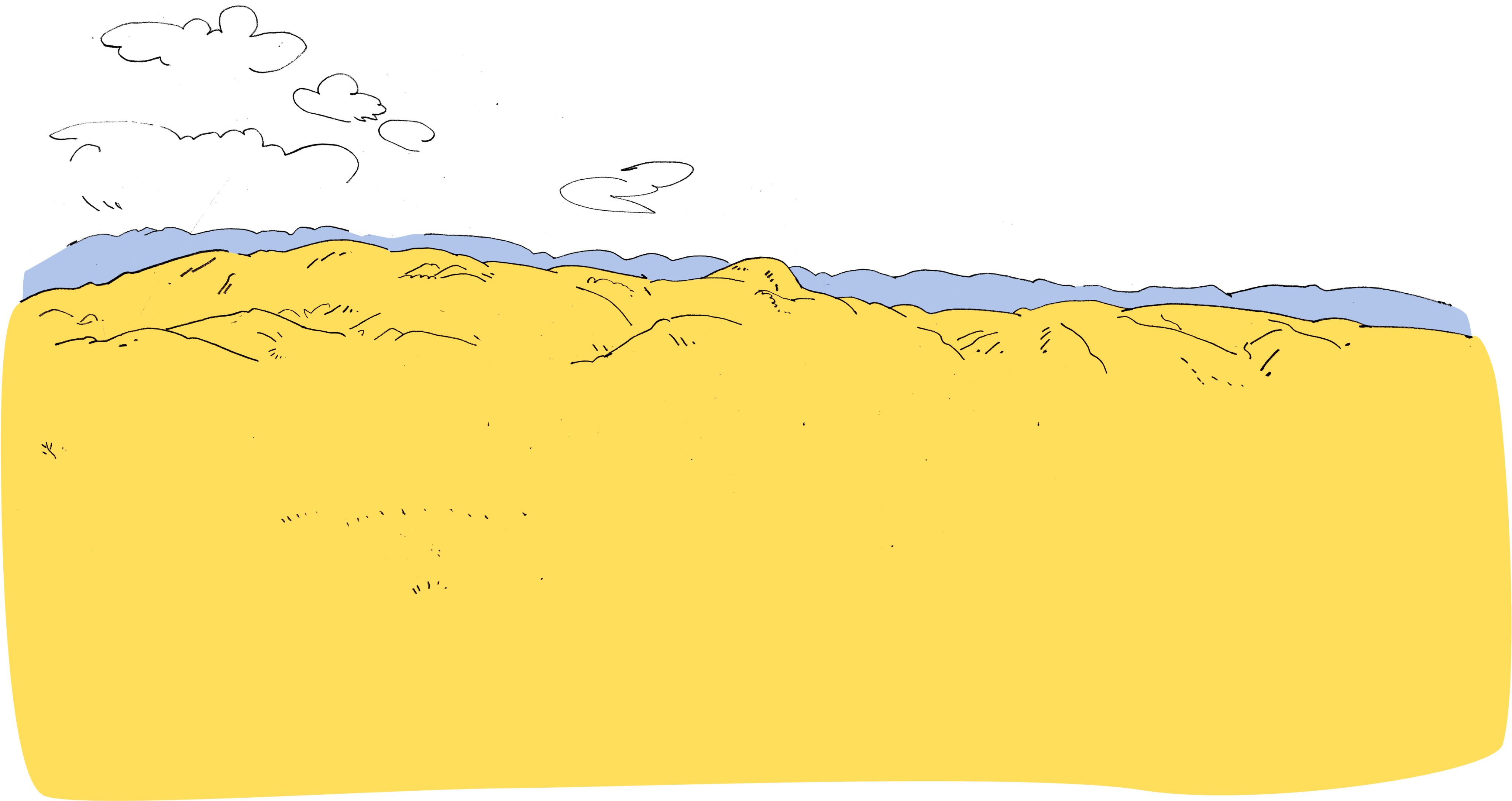 Illustration of desert landscape