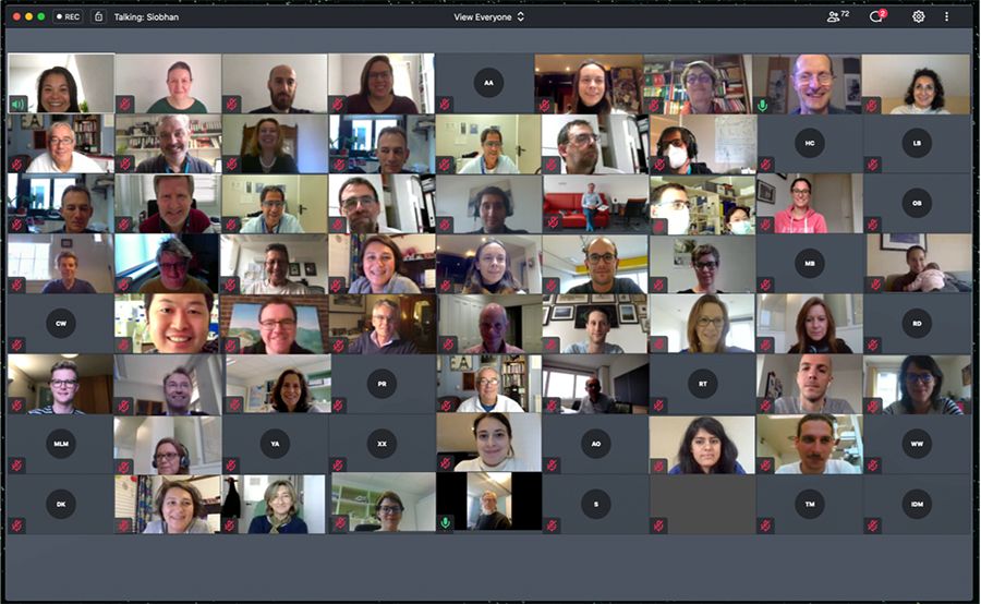 A photo of the EAVI2020 team on a large Zoom call for their 2020 Annual Meeting