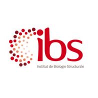 Institut de biologie structurale's logo