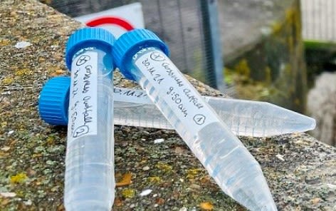 Labelled test tubes
