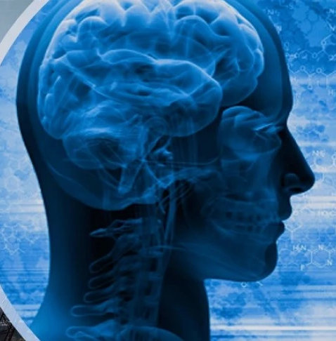 Illustration of a brain and spinal cord inside a person