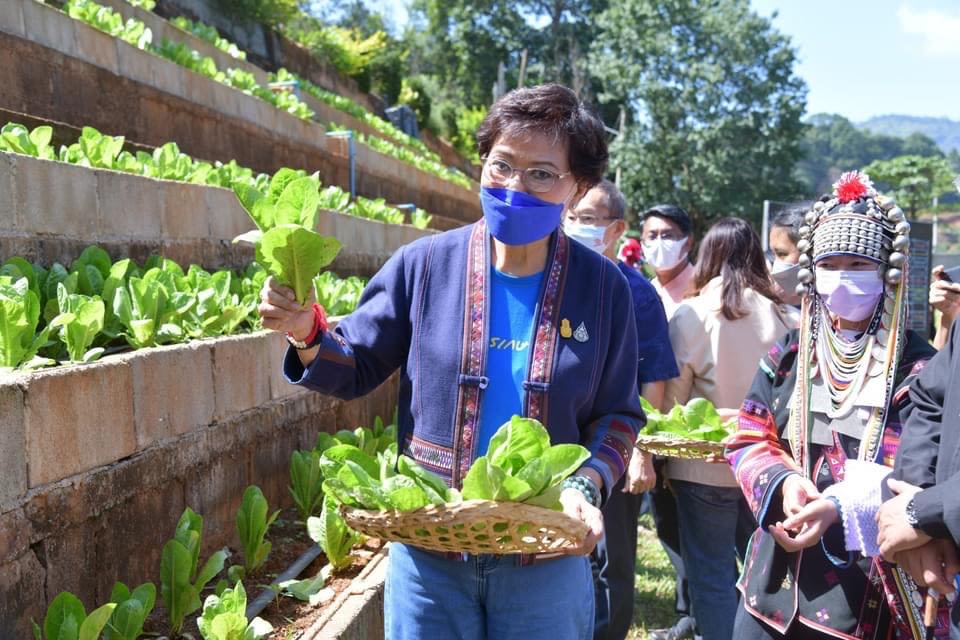 Kalaya Sophonpanich harvesting lettuce holding a basket with other people standing behind her