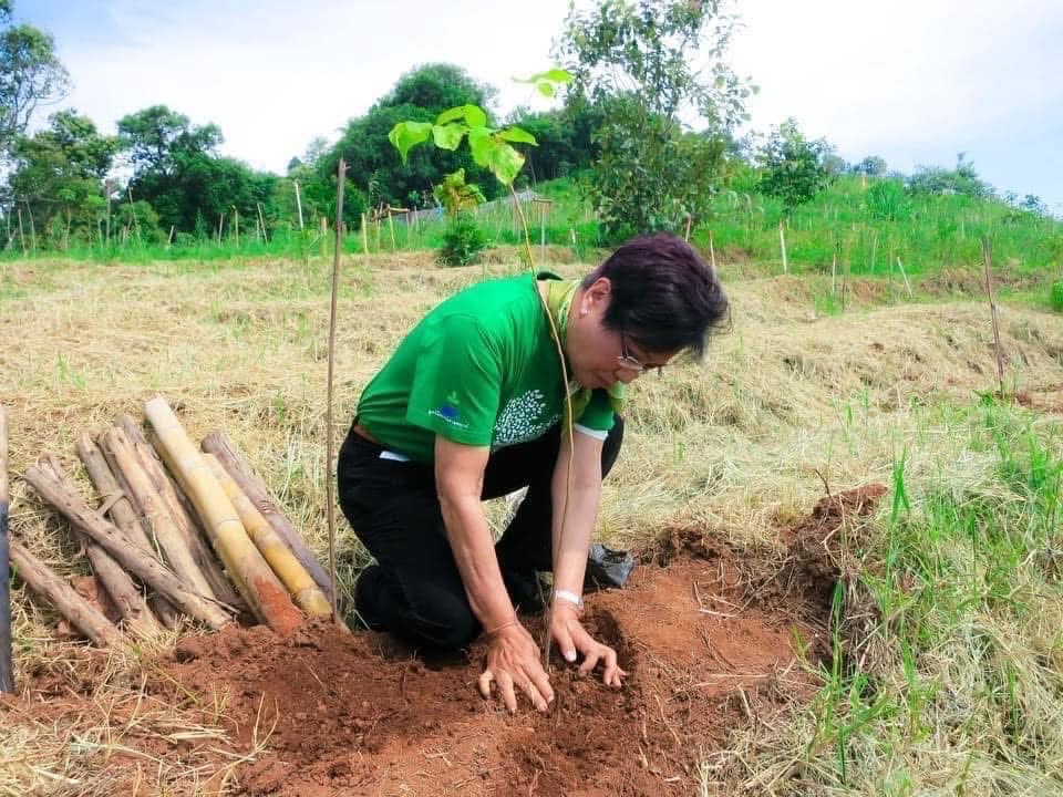 Kalaya Sophonpanich crouched on the ground as she plants a tree