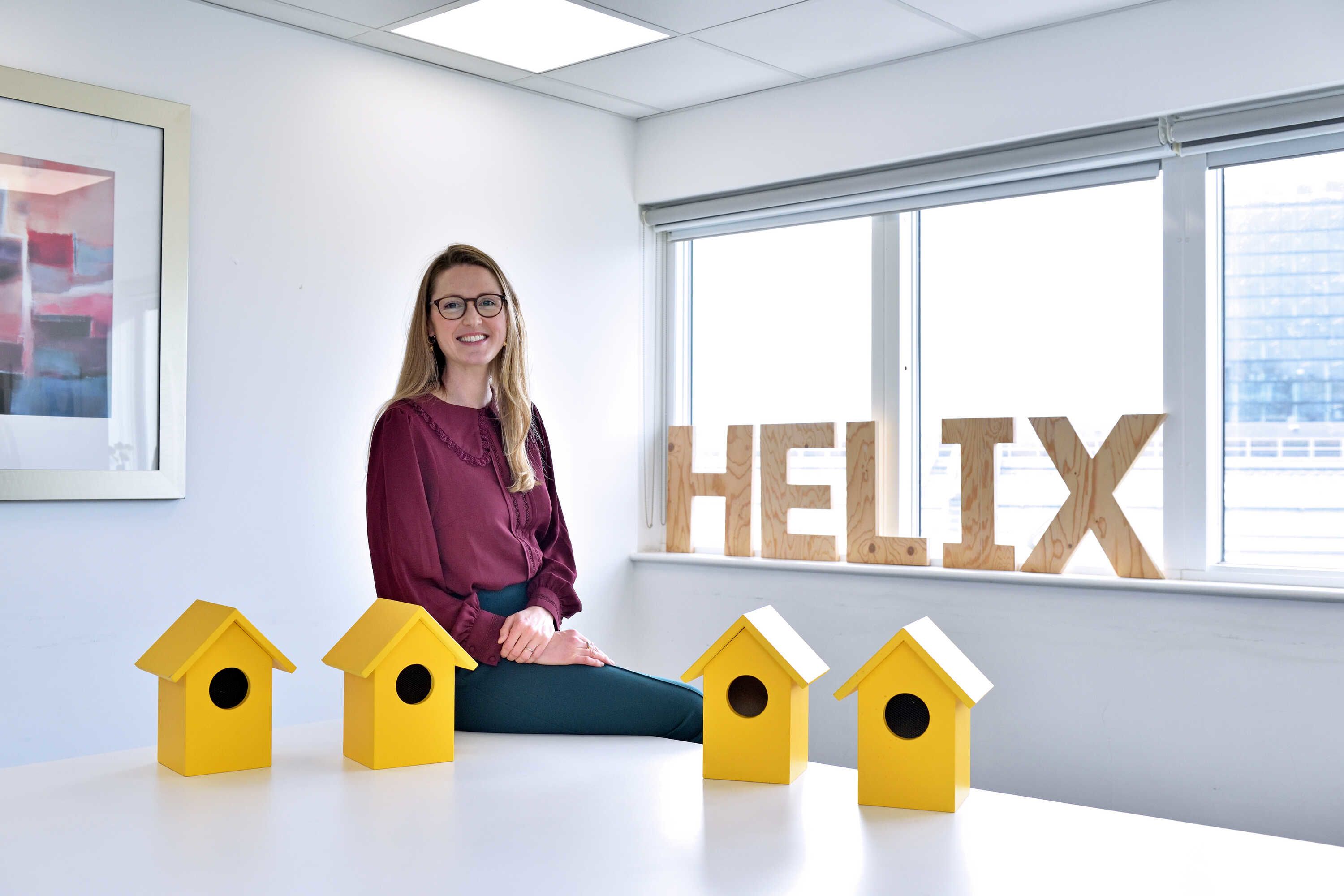 Anna sitting on a table with four yellow bird boxes laid out around her, wooden letters spelling HELIX are sitting on a window sill in the background.