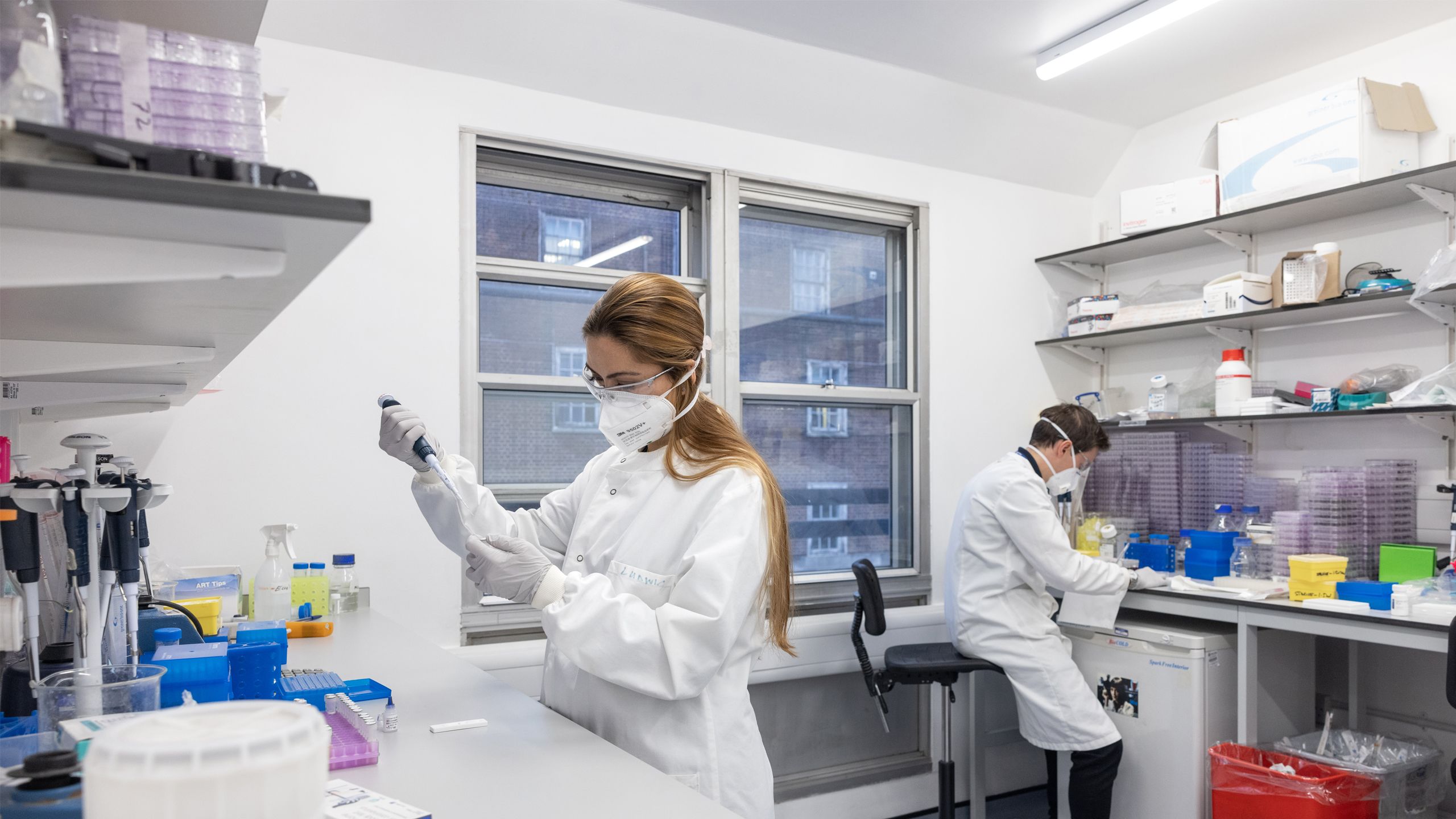 Ms Maya Moshe and Dr Jonathon Brown testing serum samples on lateral flow immunoassay kits. 