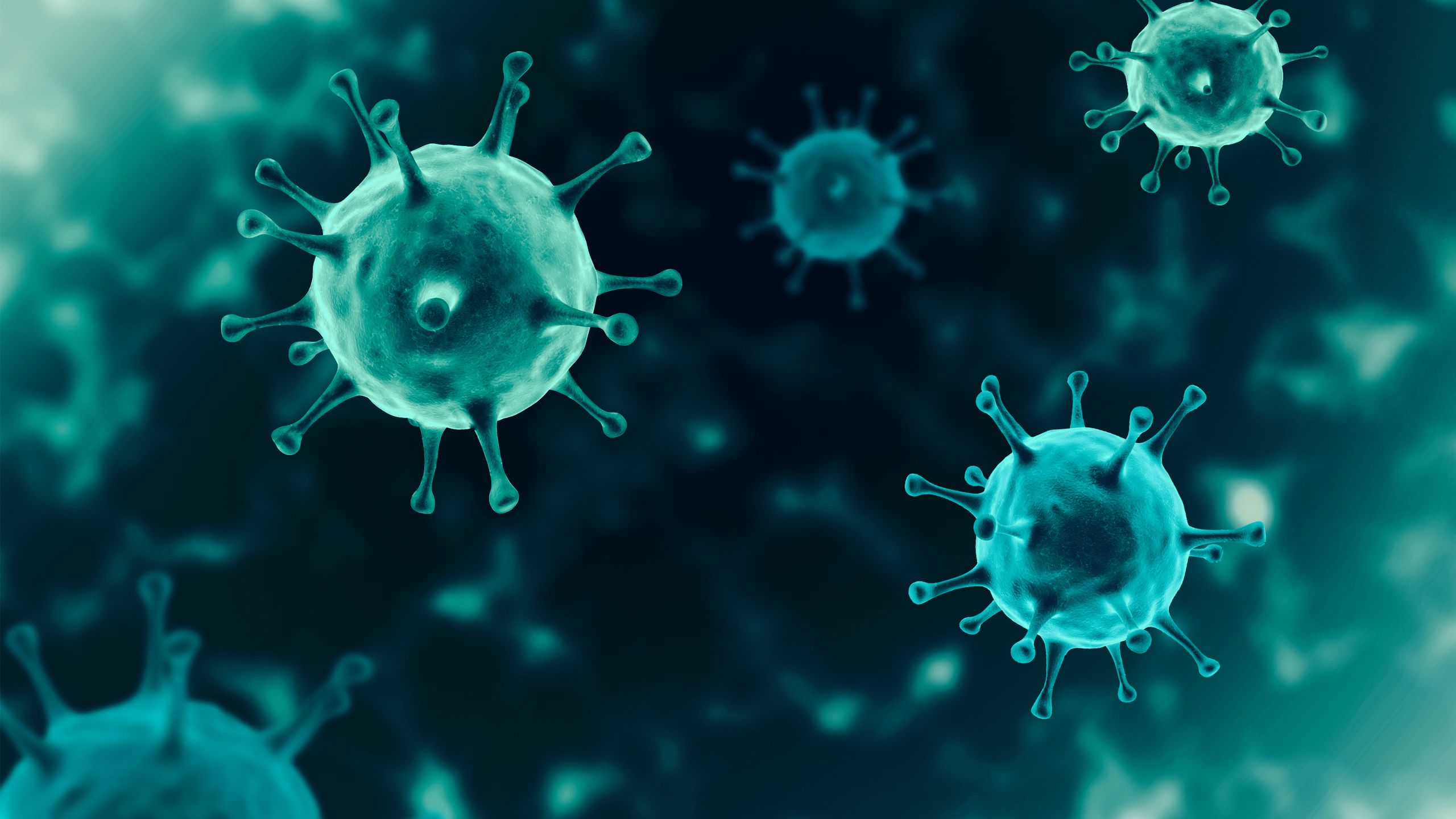 coronavirus 3D illustration