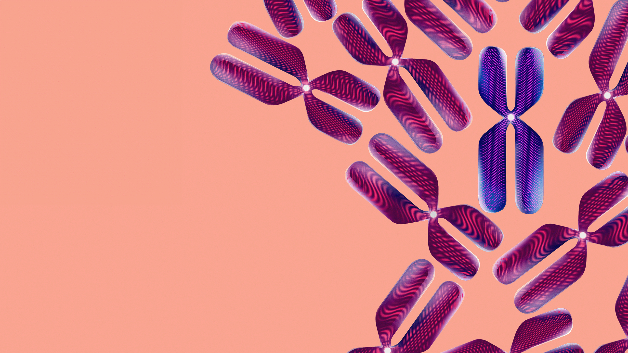 Chromosomes arranged on a peach background
