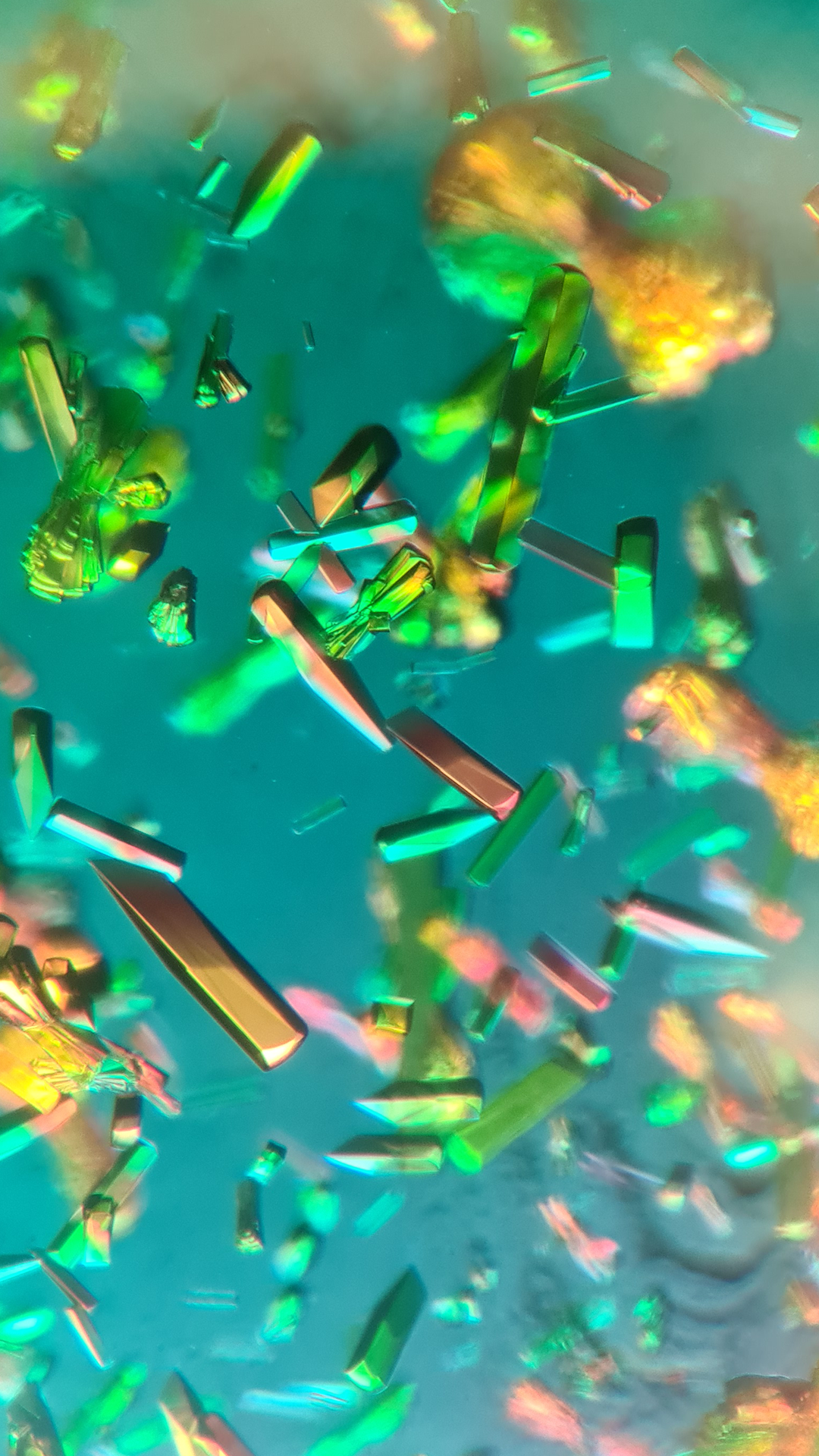 Crystals of the light sensitive protein “Cl-rsEGFP2” imaged on a x40 magnification Olympus microscope