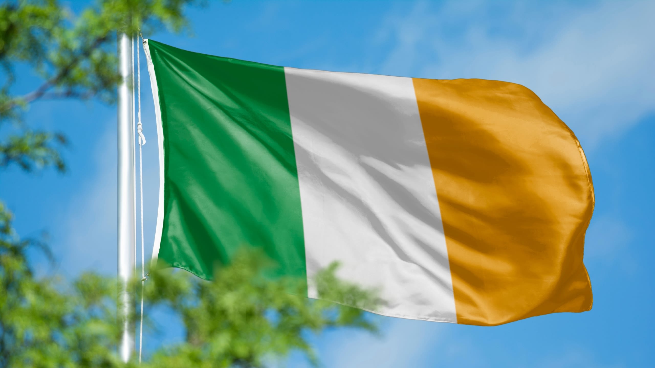 The Irish flag blowing in the wind. Blue sky and trees in the background