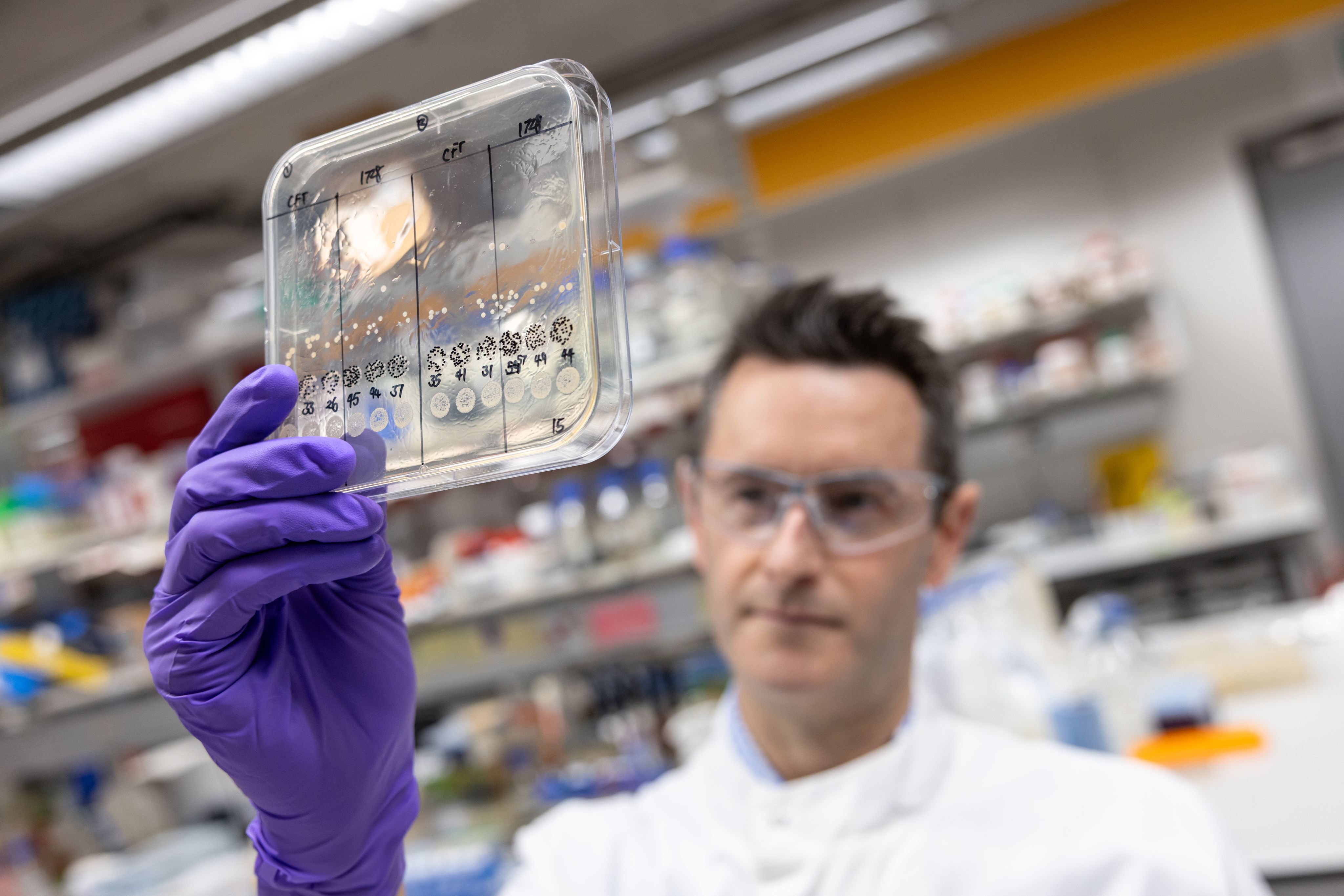 Molecular microbiologist Dr Andy Edwards in his lab looking at samples