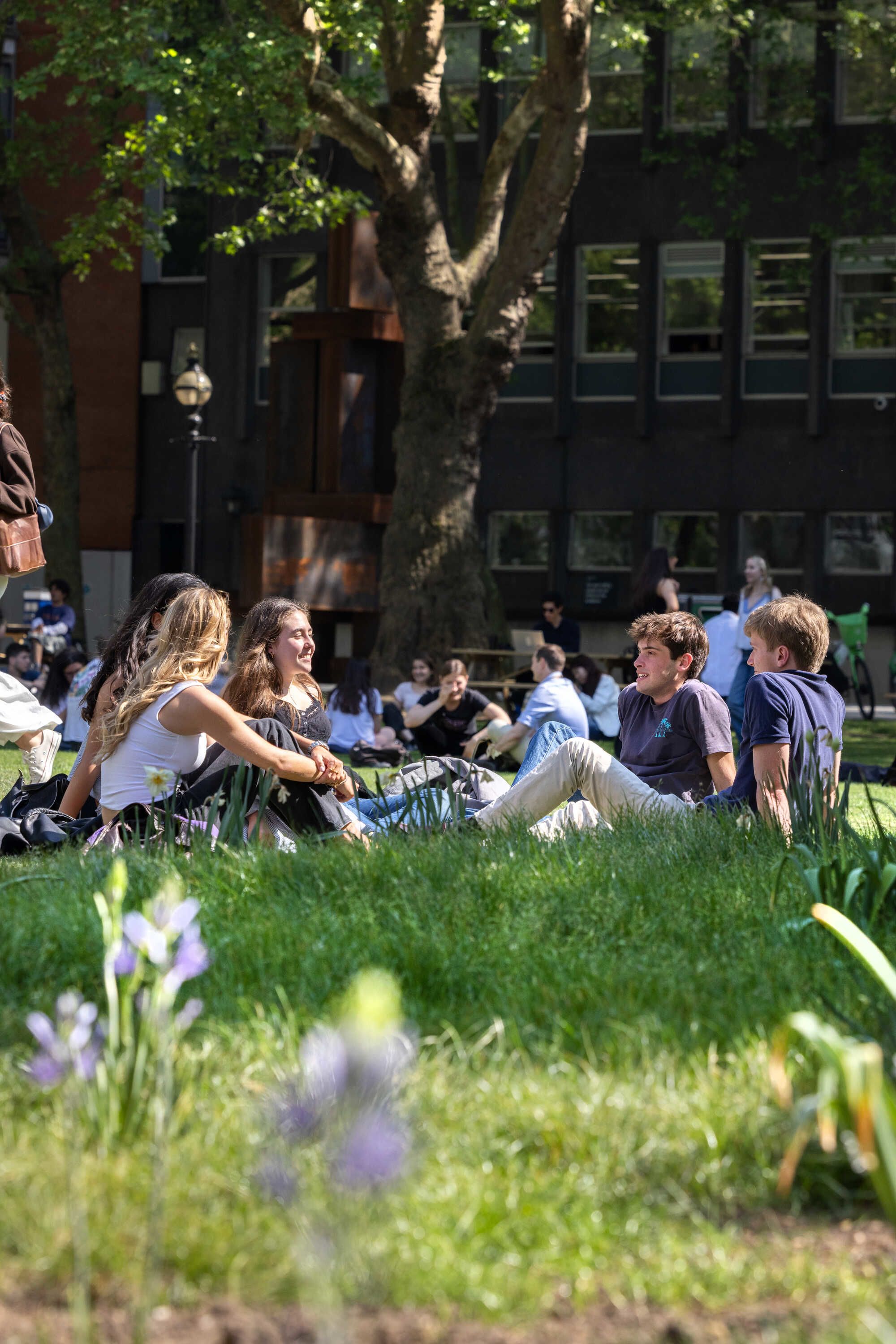 Group of students sitting on a grassy lawn chatting in the sunshine