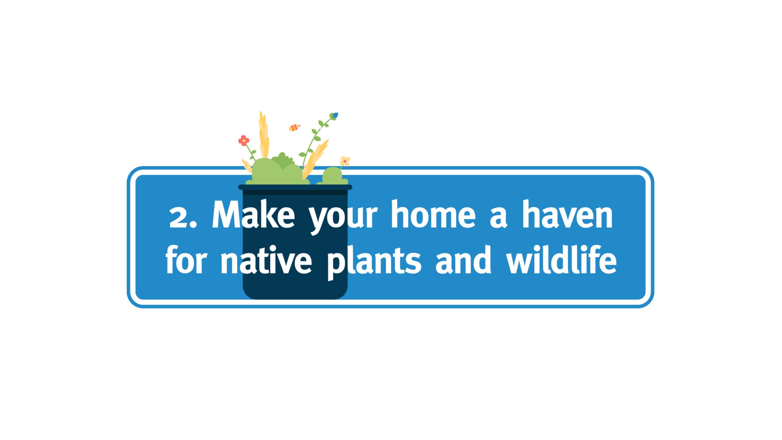 Text: 2. Make your home a haven for native plants and wildlife. Image: Plant pot containing plants with a bee flying around