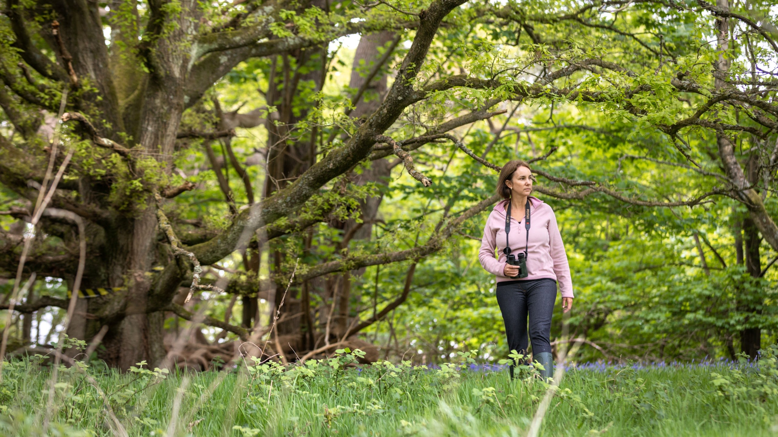 Dr Banks-Leite walks in woodlands with binoculars around her neck
