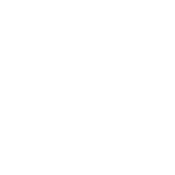 Icon of a building in white